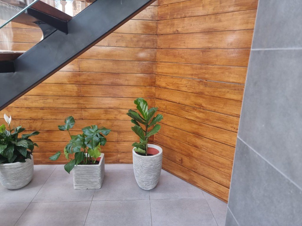 Timber cladding wrapping a stair-hall corner with indoor plants